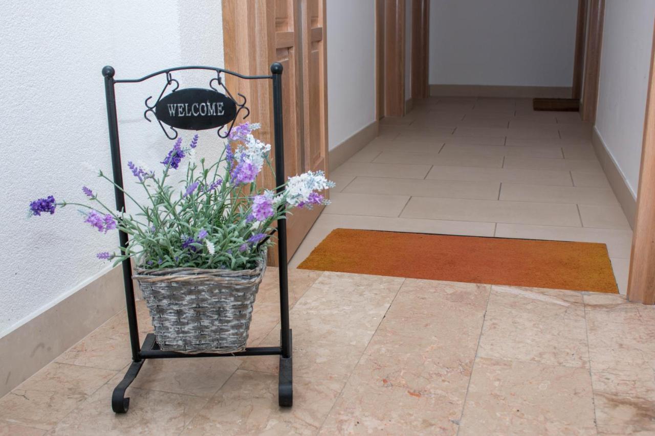 Apartment Bilalovic زاووستروج المظهر الخارجي الصورة